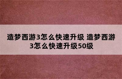 造梦西游3怎么快速升级 造梦西游3怎么快速升级50级